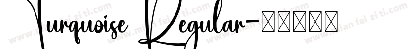 Turquoise Regular字体转换